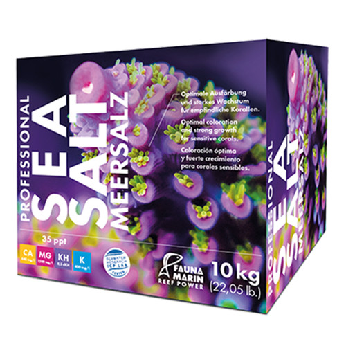 Fauna marin professional sea - fauna,